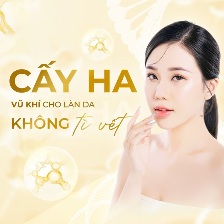 Lĩnh vực Mỹ phẩm